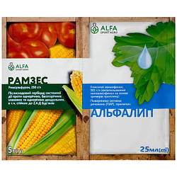 Гербіцид вибіркової дії Рамзес 5 г + Прилипач Альфалип 25 мл