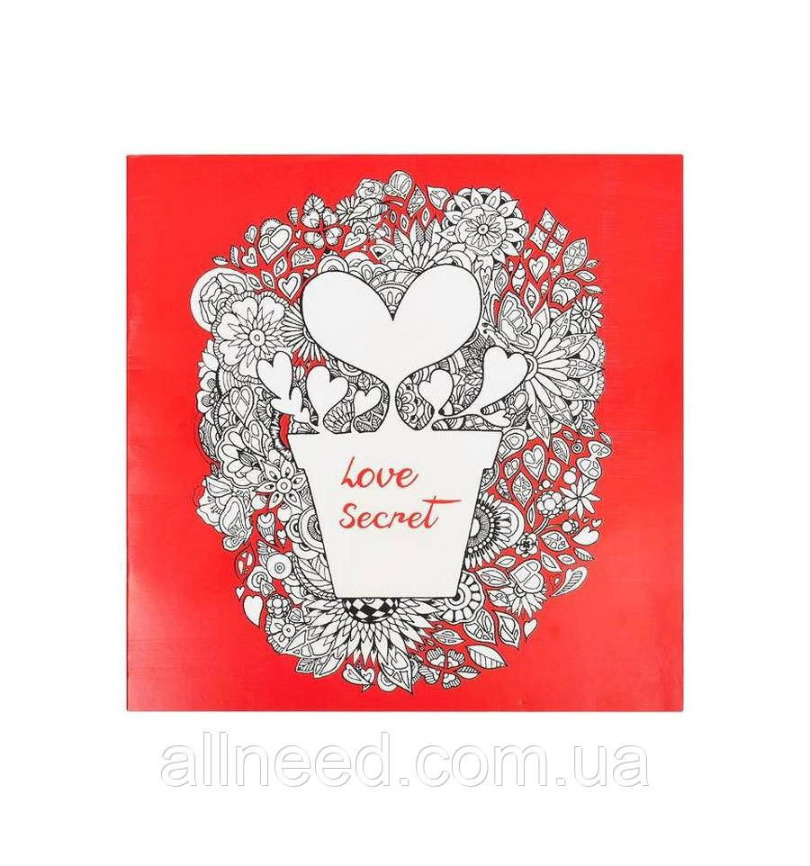 Розмальовка-антистрес "Love Secret" COLOR-IT GDM-005, 12 аркушів