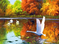 Картина - раскраска по номерам "Лебеді" розмер 40*50 см Josef Otten ( на дереве )