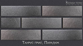 Термопанель Paradyz Таурус грiс