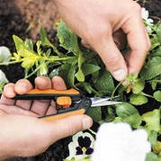 Ножиці для рослин Fiskars Solid