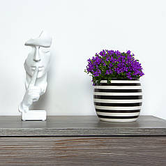 ГОРЩИК-КАШПО ДЛЯ КВІТІВ