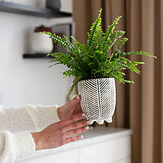 ГОРЩИК-КАШПО ДЛЯ КВІТІВ