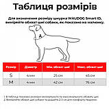 Шнурок для адресника Waudog з паракорду світловідбивний жовтий М 42 - 76 см, фото 4