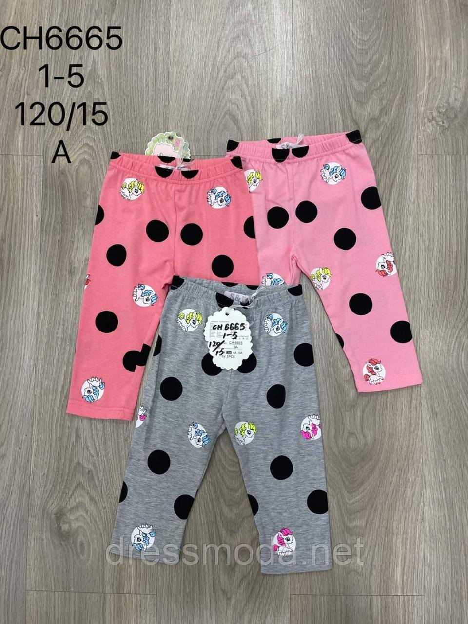 Бриджі для дівчаток S&D 1-5 років