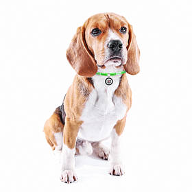 Шнурок для адресника Waudog з паракорду світловідбивний салатовий М 42 - 76 см