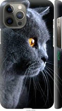 Чохол на Apple iPhone 12 Pro Max Гарний кіт "3038c-2054-1852"