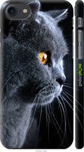 Чохол на iPhone 7 Гарний кіт "3038c-336-1852"