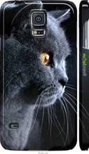 Чохол на Samsung Galaxy S5 g900h Гарний кіт "3038c-24-1852"
