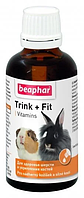 Beaphar Trink + Fit Комплекс вітамінів та мінералів у рідкій формі для гризунів та кроликів - 50 мл
