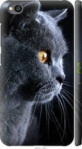 Чохол на Xiaomi Redmi Go Гарний кіт "3038c-1667-1852"