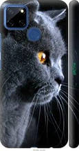 Чохол на Realme 7i Гарний кіт "3038c-2486-1852"