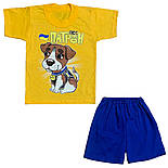 Футболка і шорти Пес Патрон 09.16.09, фото 2