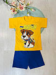 Футболка і шорти Пес Патрон 09.16.09, фото 4