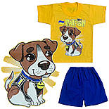 Футболка і шорти Пес Патрон 09.16.09, фото 6