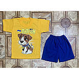 Футболка і шорти Пес Патрон 09.16.09, фото 5