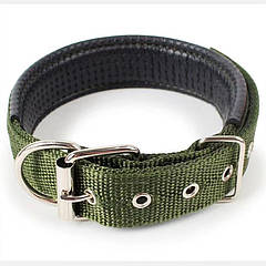 Нашийник для собаки Pet Style "Класичний" Зелений 21-29 см
