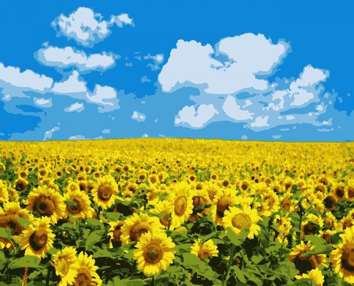 Рукітвор Картина за номерами (PN5379) Поле соняшників, 40 х 50 см, Artissimo