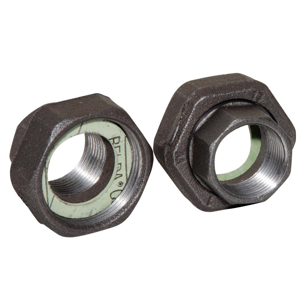 Комплект гайок для насоса Berg Montana DN 2"x11/4" ВВ з білого чавуну (Іспанія) C4221068 / C4201068, фото 1