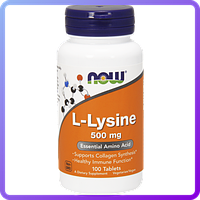 Амінокислоти NOW L-Lysine 500 mg (100 кап) (102755)