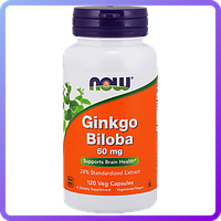 Препарат для підвищення розумової енергії і роботи мозку NOW Ginkgo Biloba 60 mg (120 кап) (224076)