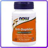 Препарат для поддержания иммунной системы NOW Gr8-Dophilus (60 капс) (102835)