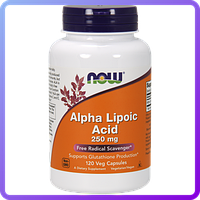 Альфа-липоевая кислота NOW Alpha Lipoic Acid (250 мг) (120 капс) (102856)