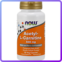 Л-карнітин NOW Acetyl L-Carnitine 500 мг (50 кап) (102890)