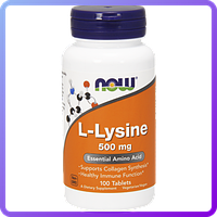 Амінокислоти NOW L-Lysine 500 mg (100 кап) (335155)