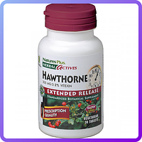 Боярышник Natures Plus Herbal Actives Hawthorne 300 мг (30 таблеток) (227221)