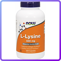 Амінокислоти NOW L-Lysine 500 mg (250 кап) (224204)