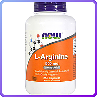 Амінокислоти NOW Foods L-Arginine (500 мг) (250 кап) (224215)