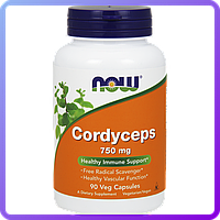 Антиоксидант NOW Foods Cordyceps (750 мг) (90 капс) (224223)