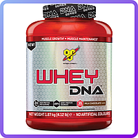 Протеїн BSN Whey DNA Europe (1.87 кг) (101519)