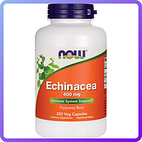 Препарат на основі ехінацеї NOW Foods Echinacea (400 мг) (250 кап) (103002)