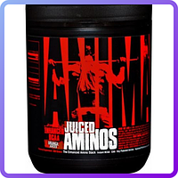 Амінокислоти BCAA Universal Nutrition Animal Juiced Aminos (30 порцій) (376 г)  (447951)