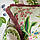 Тканина для штор Enys Garden Arboretum Fabrics Sanderson, фото 3