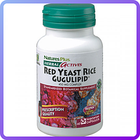 Червоний Дріжджовий Рис + Гуггулстероны Natures Plus Herbal Actives Red yeast Rice Gugulipid (60 желевых (338367)