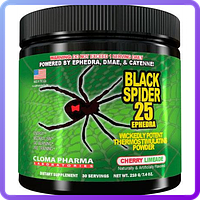 Передтренувальний комплексCloma Pharma Black Spider Powder (210 г) (222884)