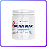 BCAA аминокислоты All Nutrition BCAA Max Support (500 г) (227517)