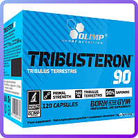 Трибулус Olimp Labs Tribusteron 90 (120 капс) (103155)