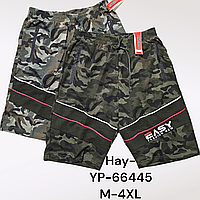 Шорты мужские оптом, M-4XL рр., арт. Hay-YP-66445