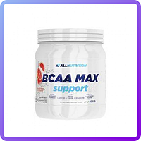 Амінокислоти BCAA All Nutrition BCAA Max Support (500 г) (106267)