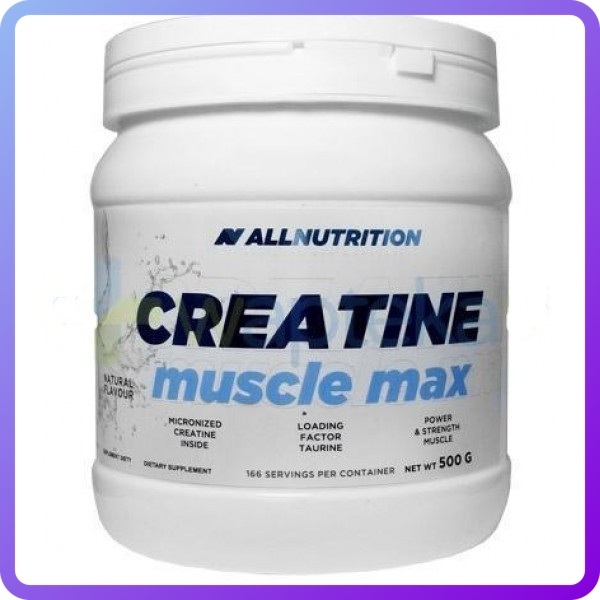 Креатин All Nutrition Creatine Muscle Max (500 г) (338644)