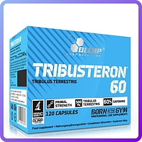 Трибулус Olimp Labs Tribusteron 60 (120 капс) (335554)