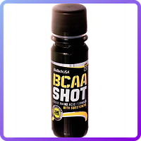 Амінокислоти BCAA BioTech BCAA SHOT (1 ампула по 60 мл) (342612)