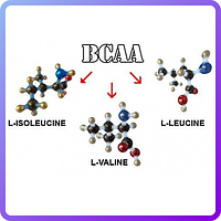 BCAA 2:1:1 Extra Pure (500 г) (103360)