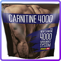 Жиросжигатель Power Pro Carnitine 4000 (500 г) (446936)