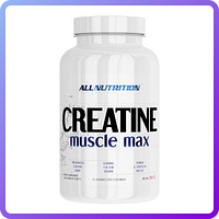 Креатин All Nutrition Creatine Muscle Max (250 г) (227928)