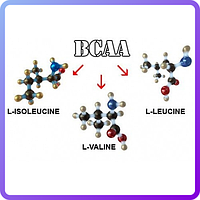 BCAA 2:1:1 Extra Pure (500 г) (335760)